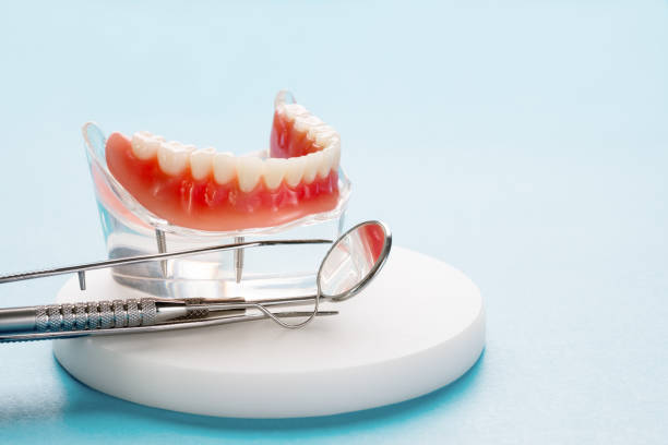 Best Traditional Braces  in Voorheesville, NY